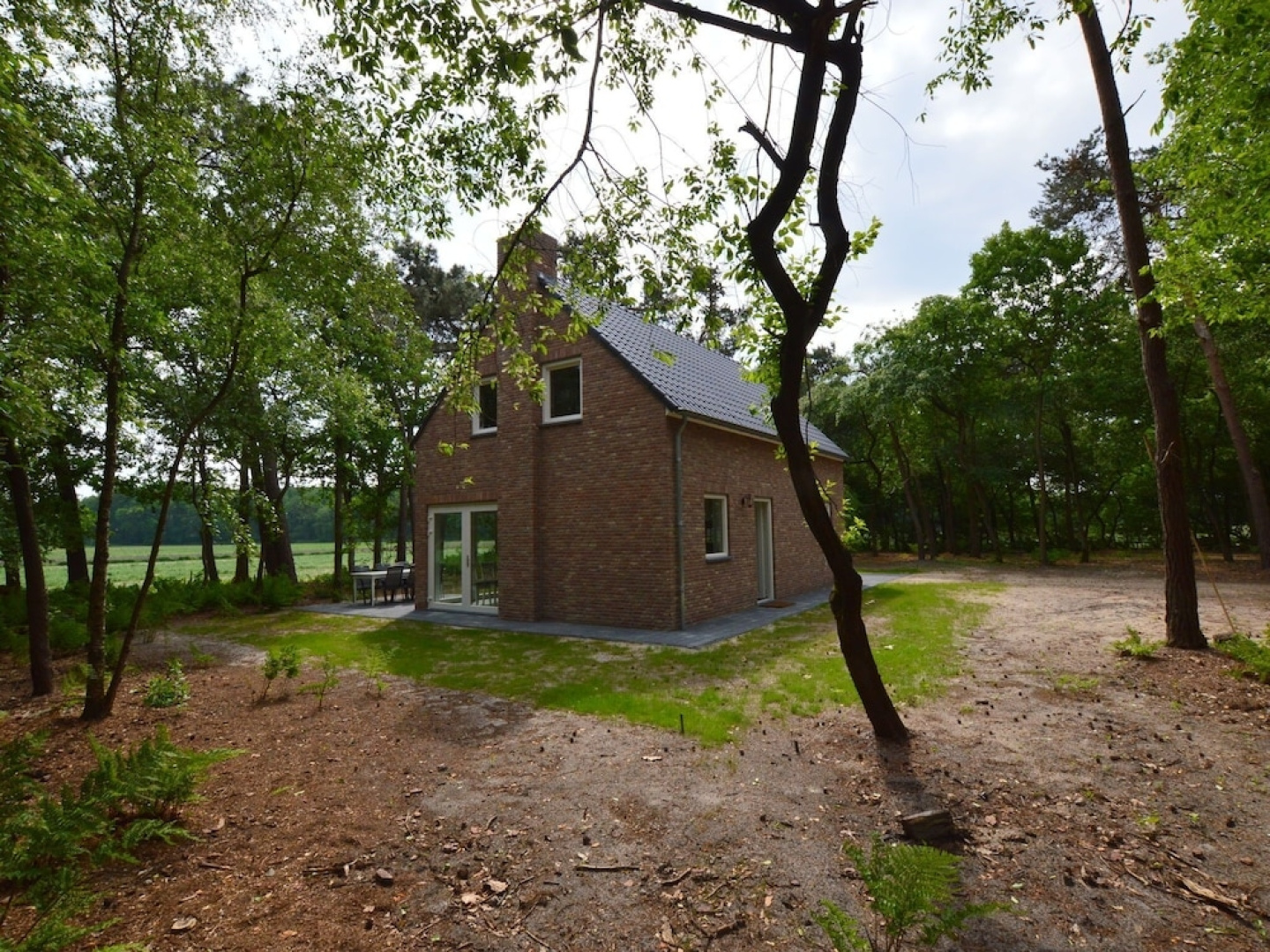 Beautiful House in Baarle-nassau on a Large Forest Plot