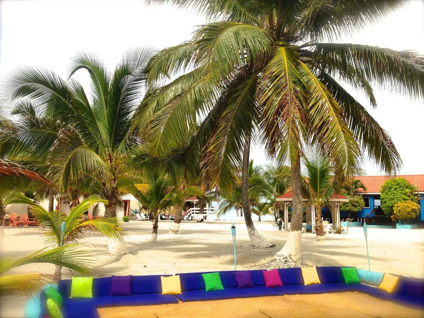 Blue Marlin Beach Resort