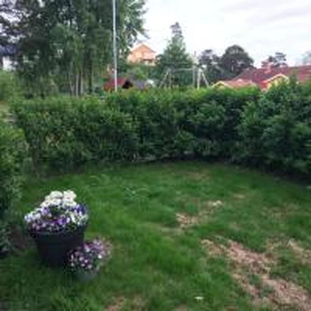 Solferie Rolfsmyra 8