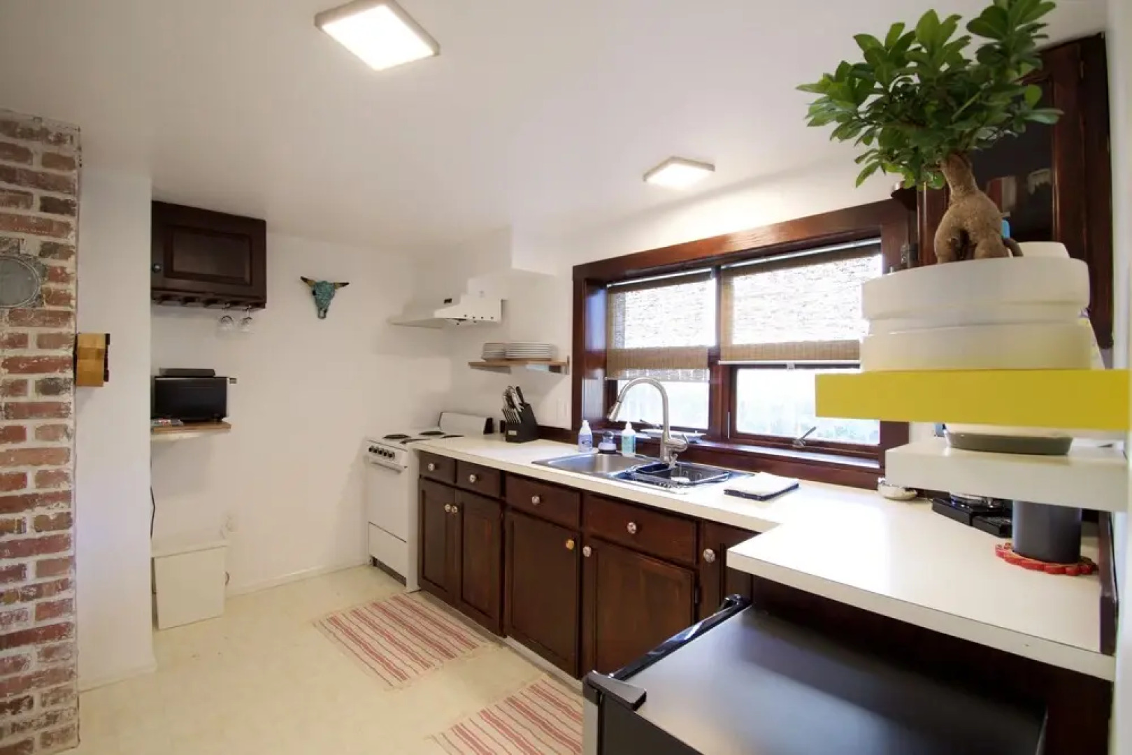 Hidden Greenlake Gem -- Central Location