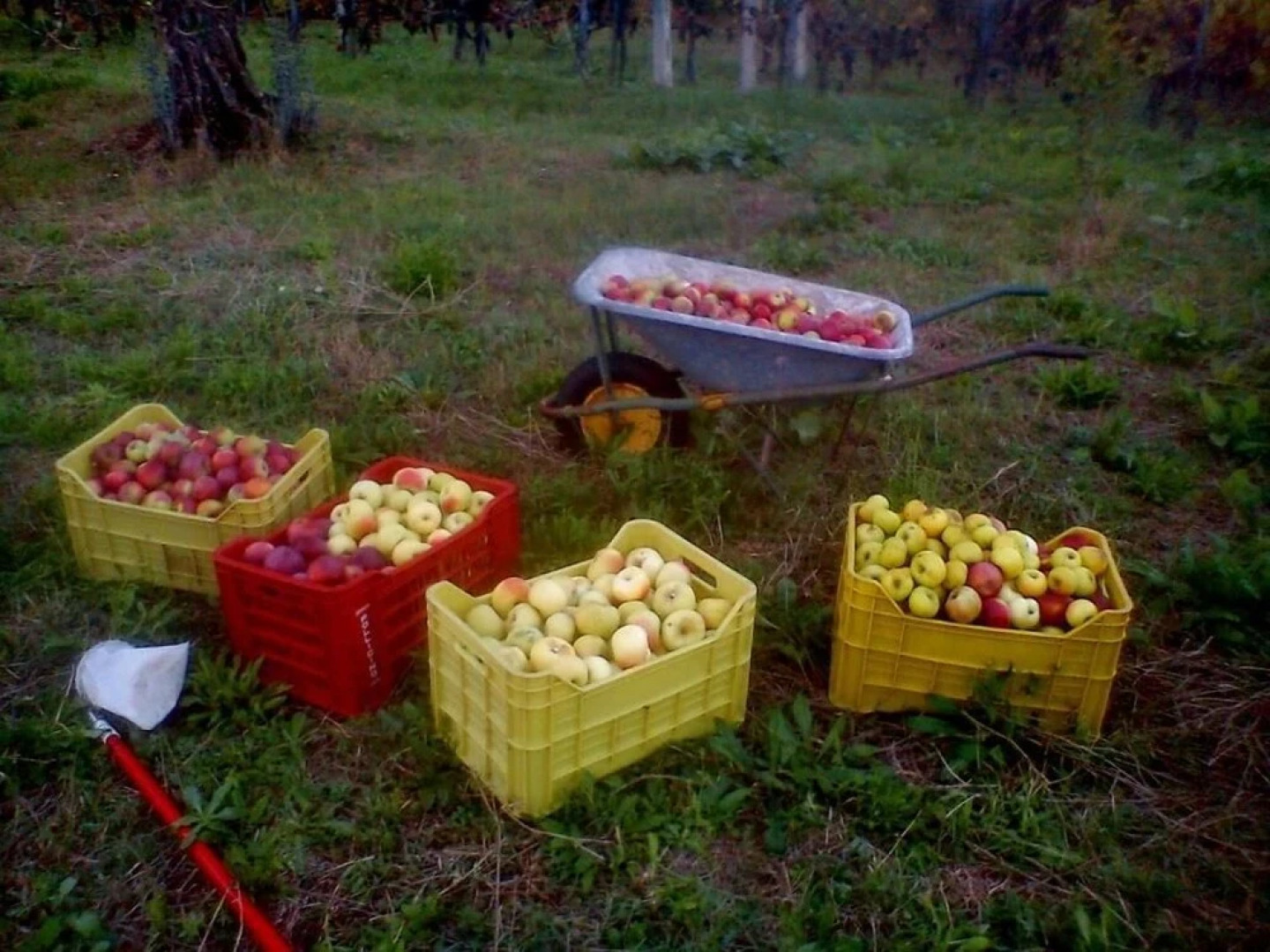 B&B Wellness Il Pomario di Montepiglio