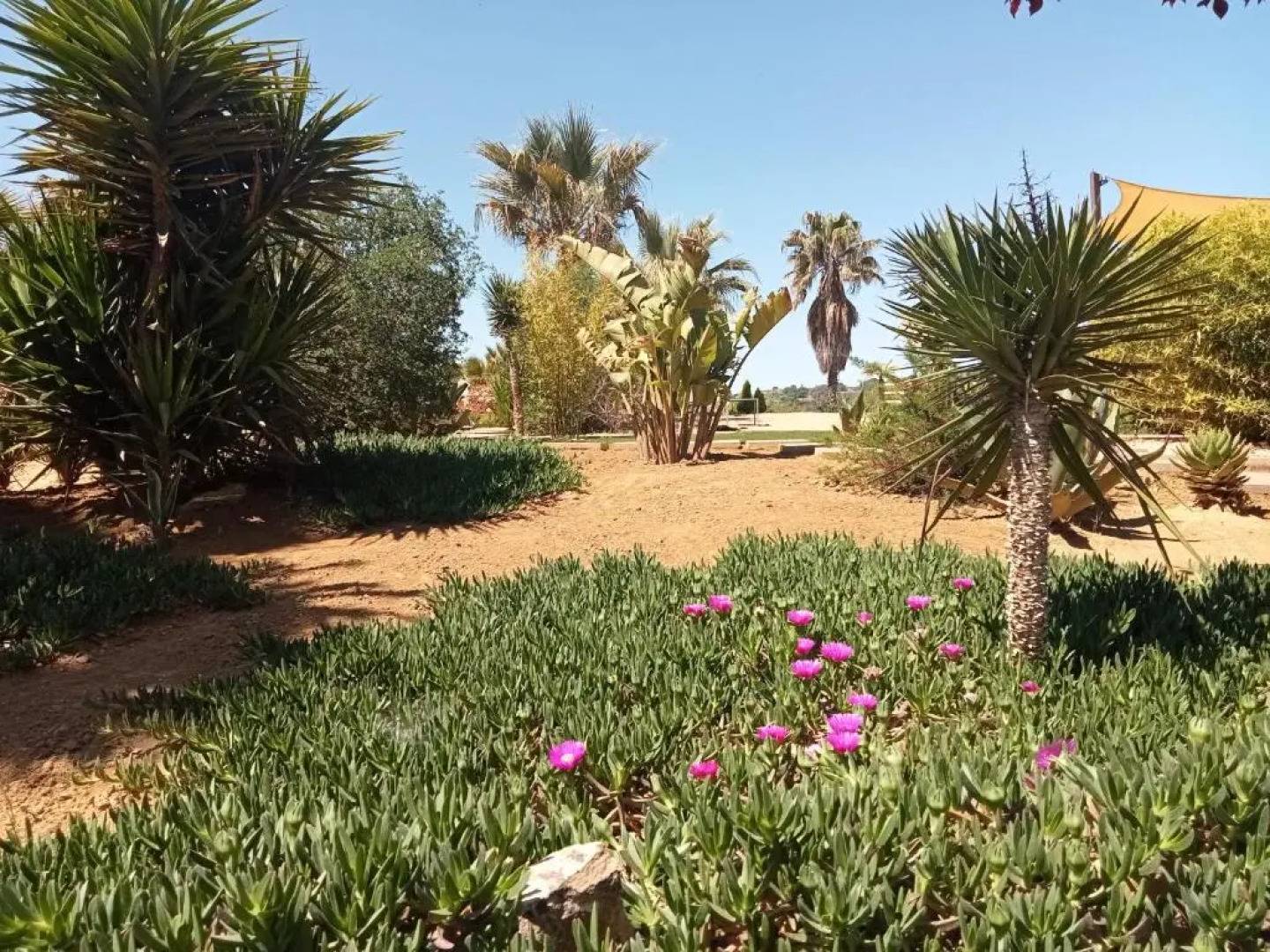 Folco Studio Apartment