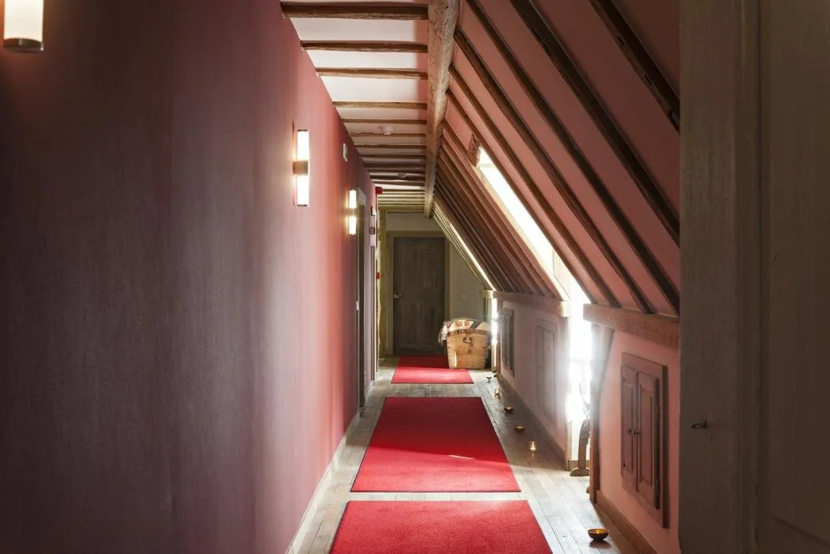 De Libellen van Waaroost