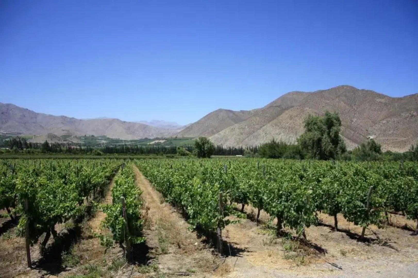 Centro Astronomico Alfa Aldea