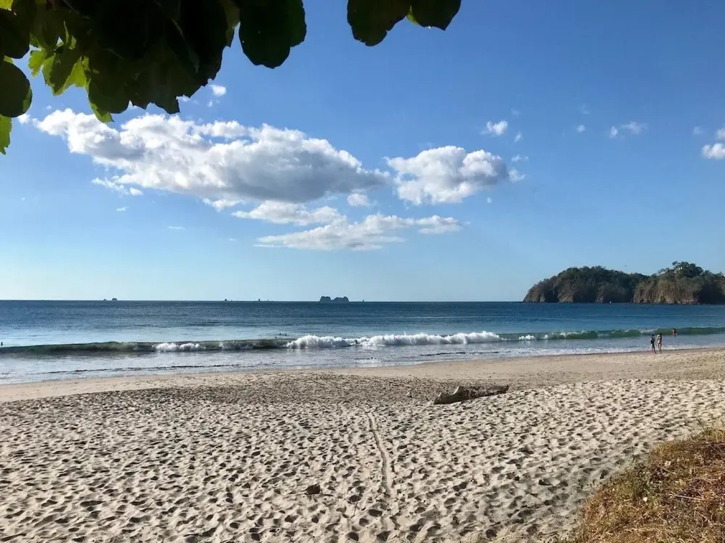 Luxury Flamingo home with ocean view sleeps 10 - walking distance from beach