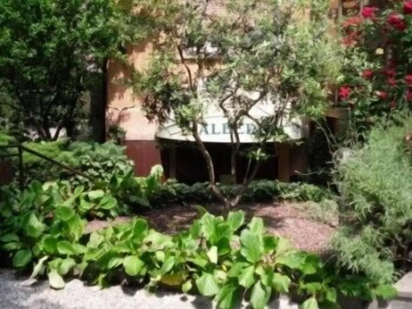 Albergo Hotel Giardino