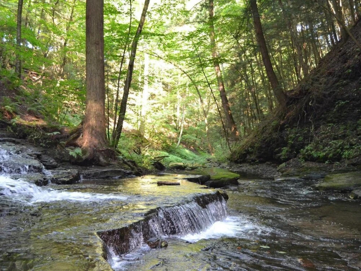 Tentrr - Hemlock Gorge Hideaway