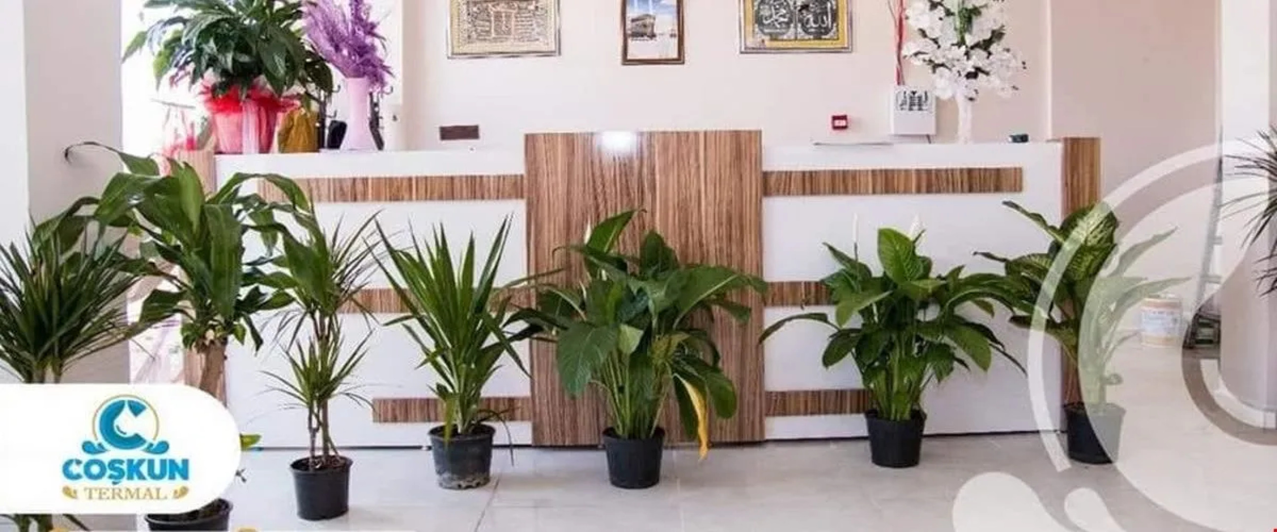 Coskun Termal