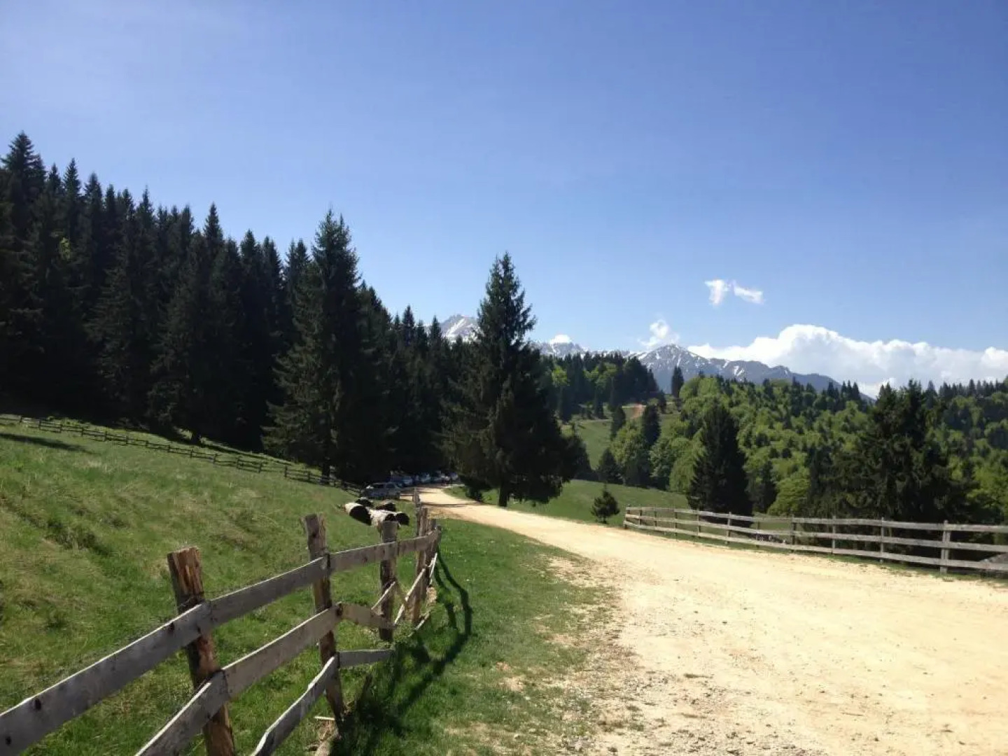 Cabana Poiana Secuilor