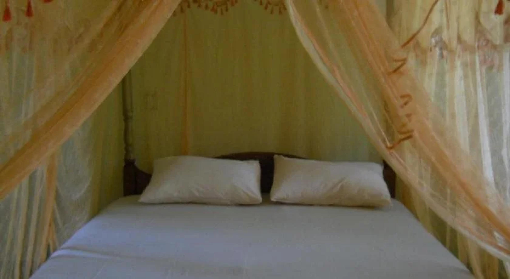 Palm Garden Guest House