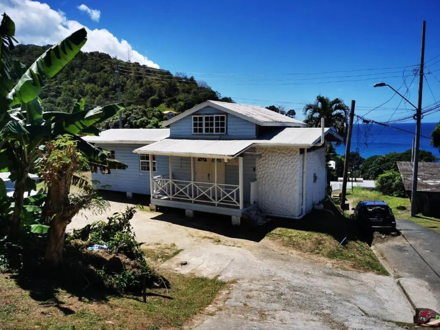 Mango Bottom Jackson Trace