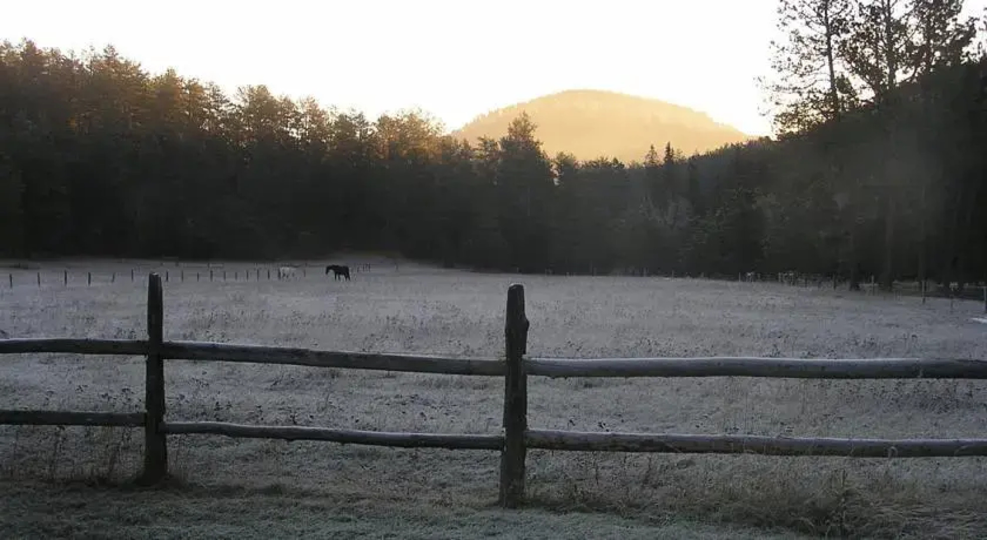 Cabin at Green Mountain
