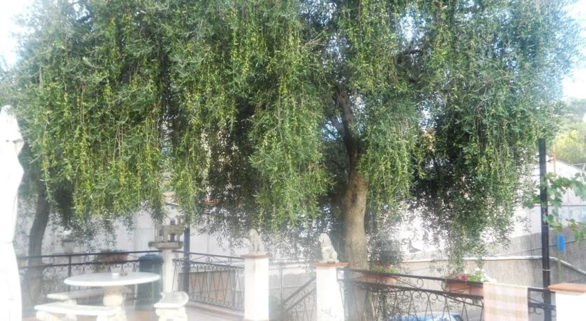 Agriturismo Al Nido Degli Aironi