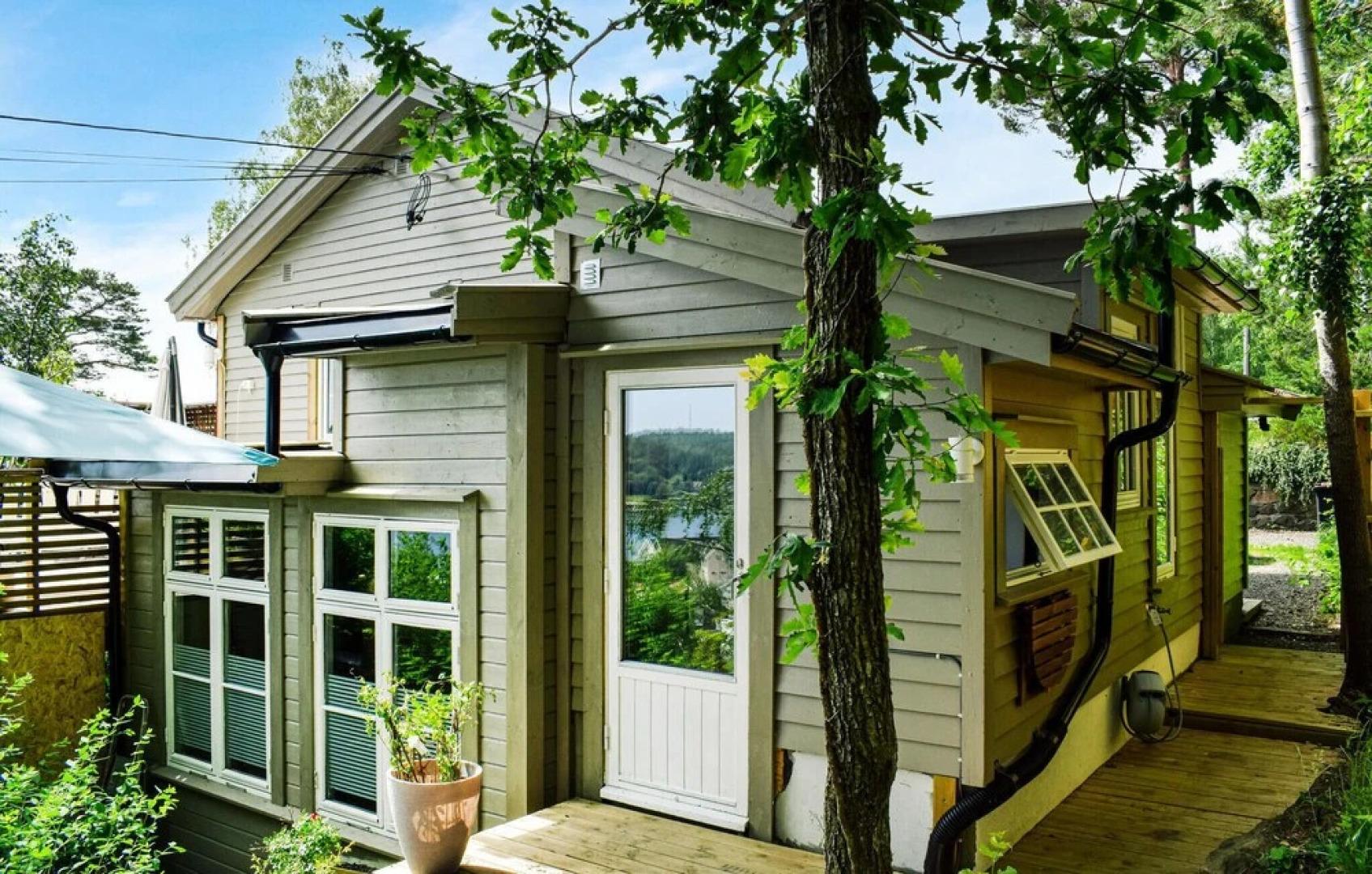 The Woodpecker Cottage Tree