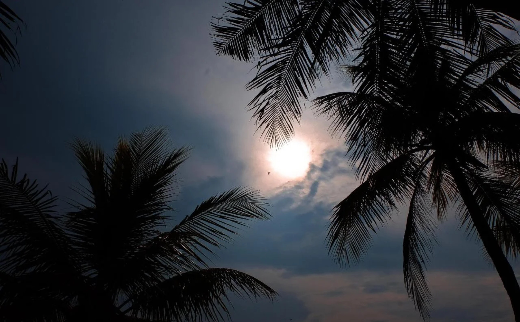 Umadewi Surf & Retreat