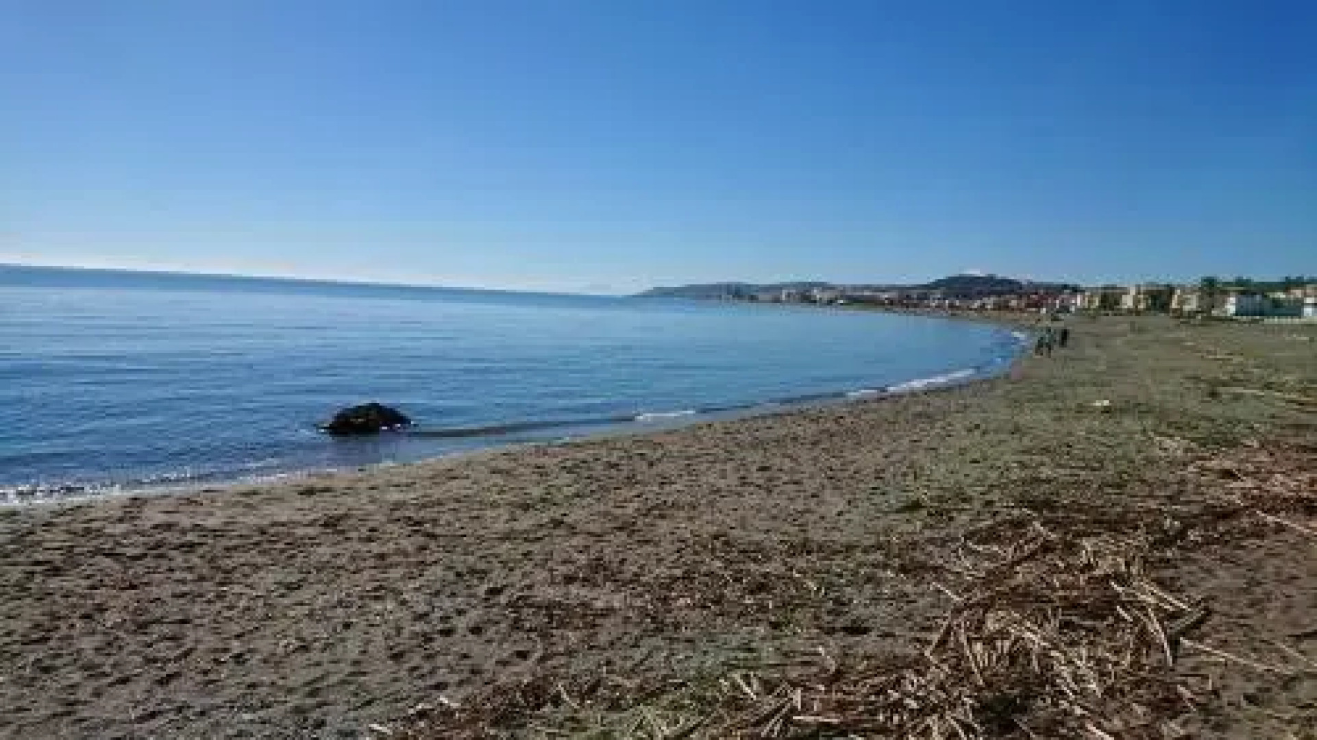 Estrella de La Bahia