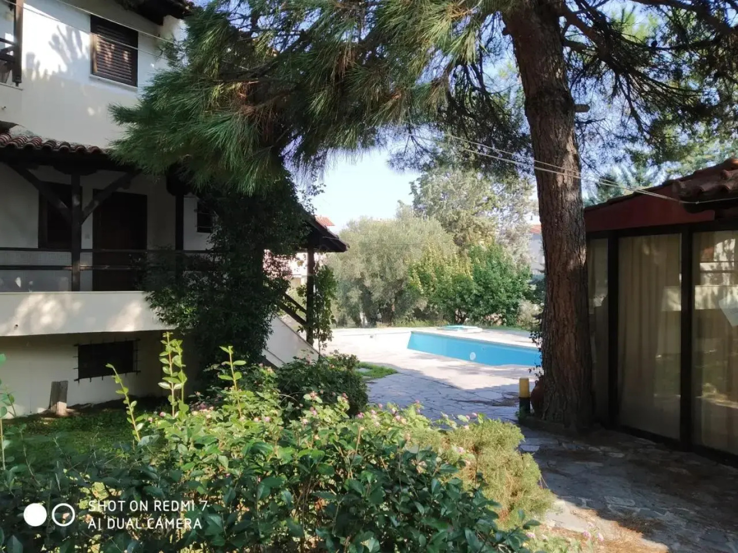 Penny's Holiday Studio