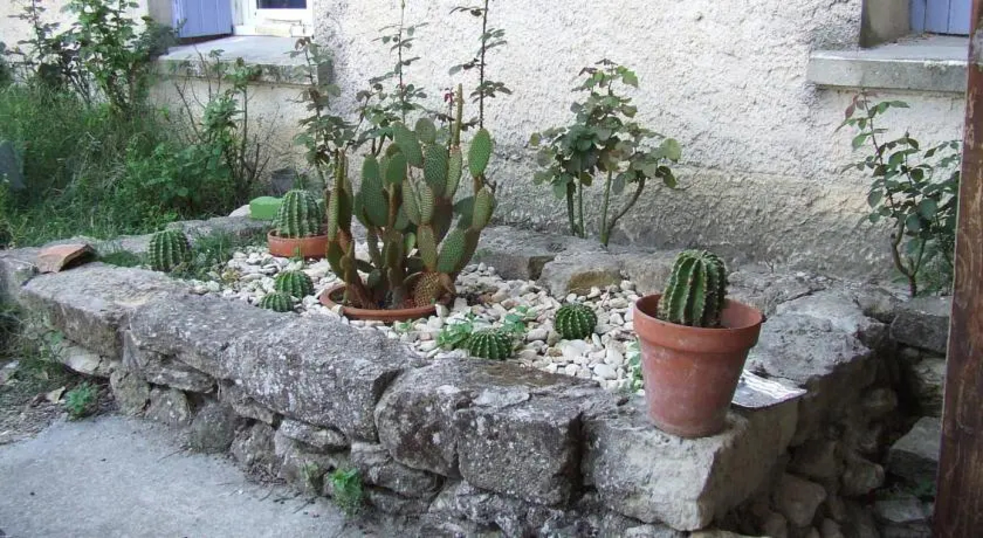 B&B la ferme du Ventoux
