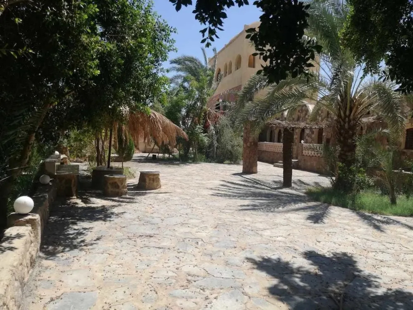 Ahmed Safari Camp & hotel