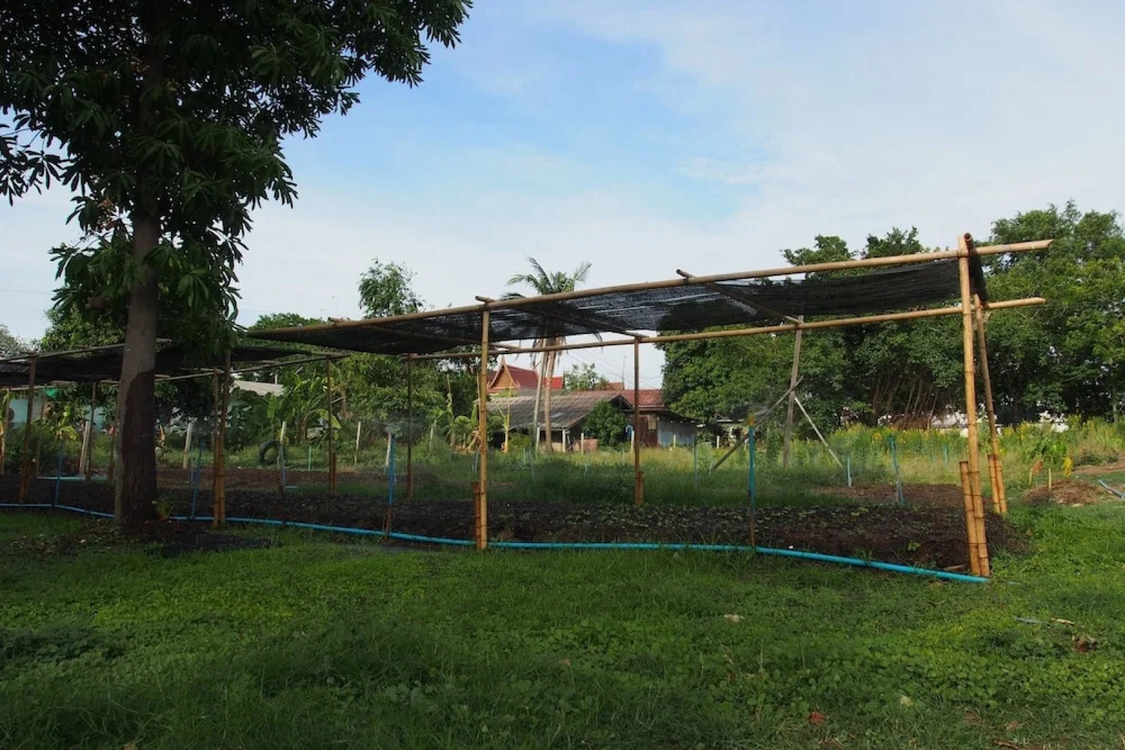 Baan Sikuuk Bed & Breakfast