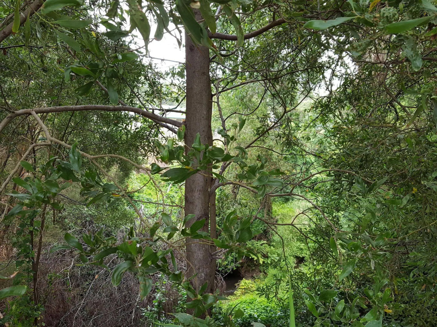 Wilsons Promontory Motel