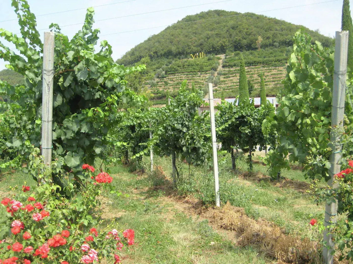 Snug Apartment in Monticelli Brusati near lake Iseo