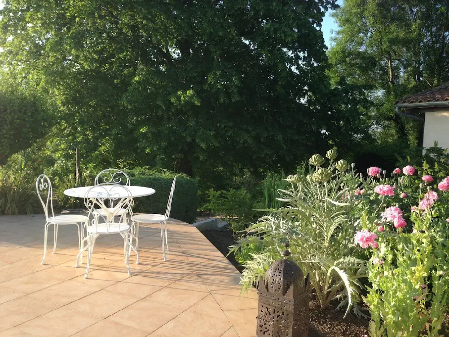 Les Vignes De Charlotte