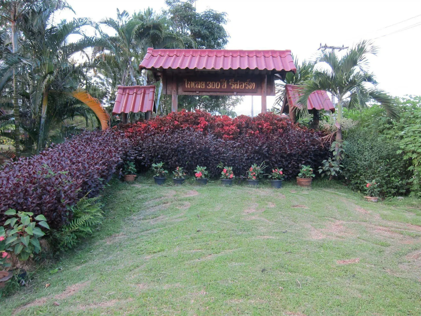 Thai Loei 300 Pi Resort