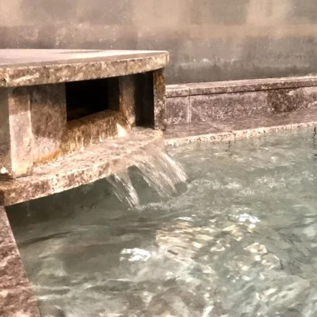 Senboku Onsen Koryu Plaza Saku no Yu