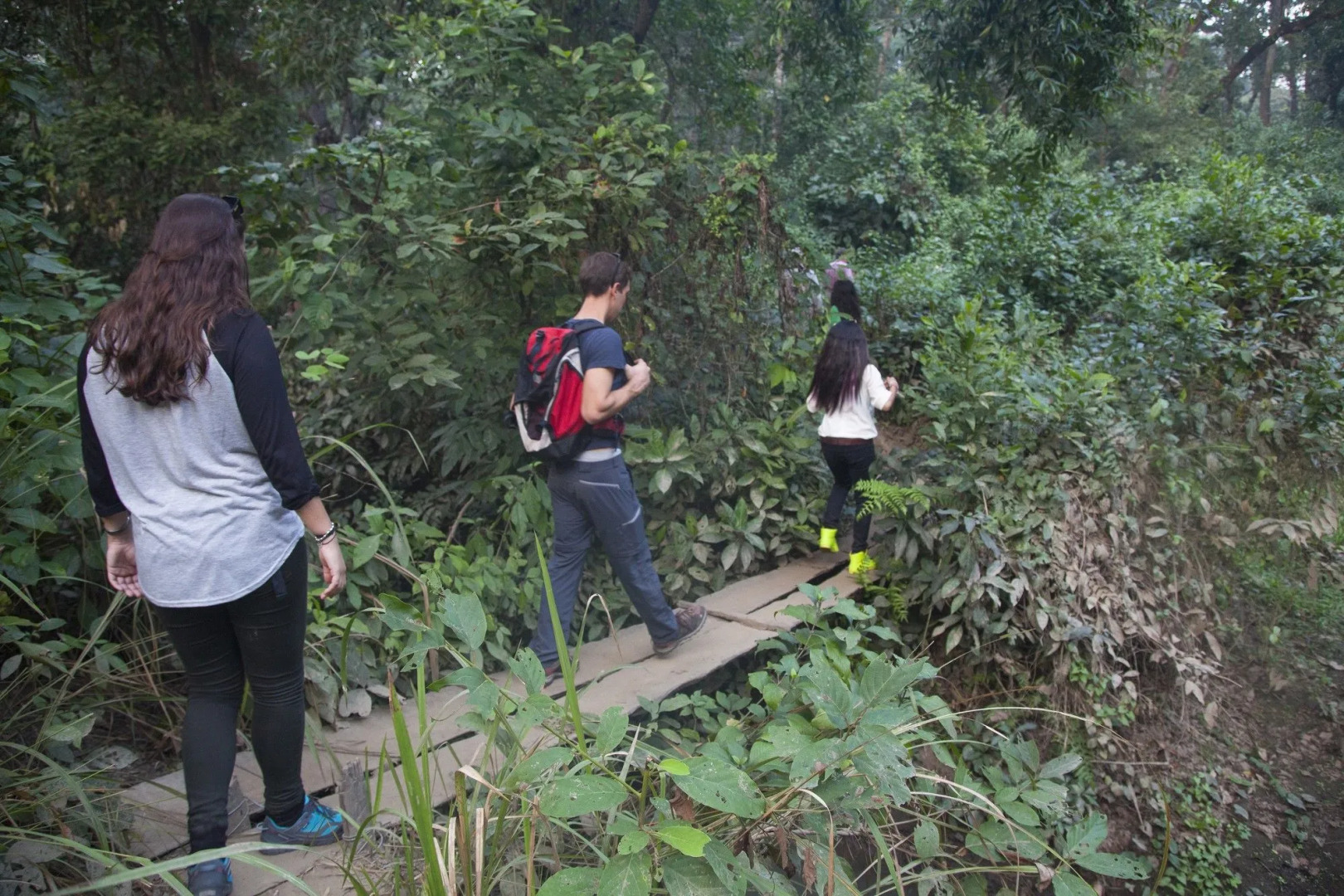 Green Mansions Jungle Resort