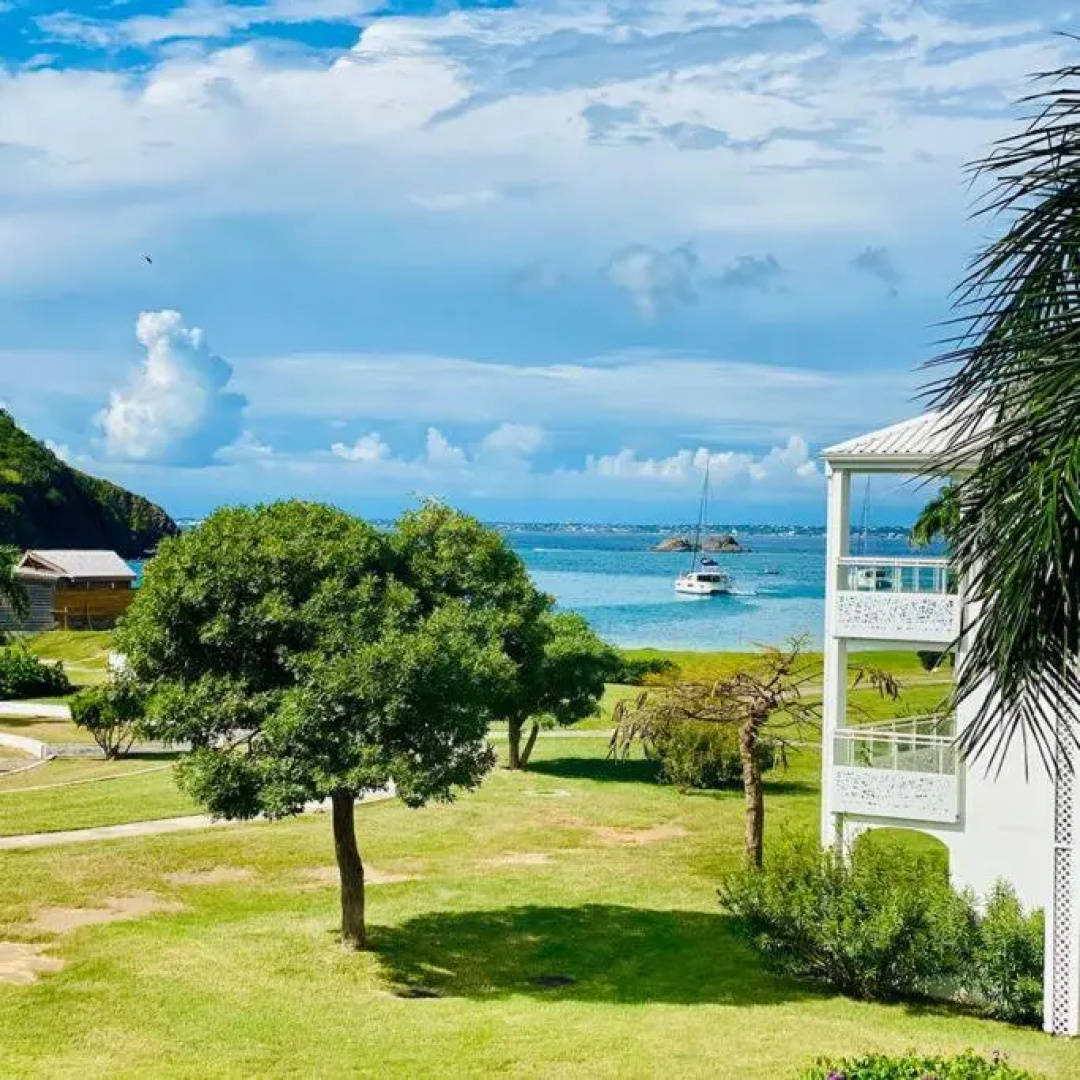Studio tropical, beautifully renovated, sea view