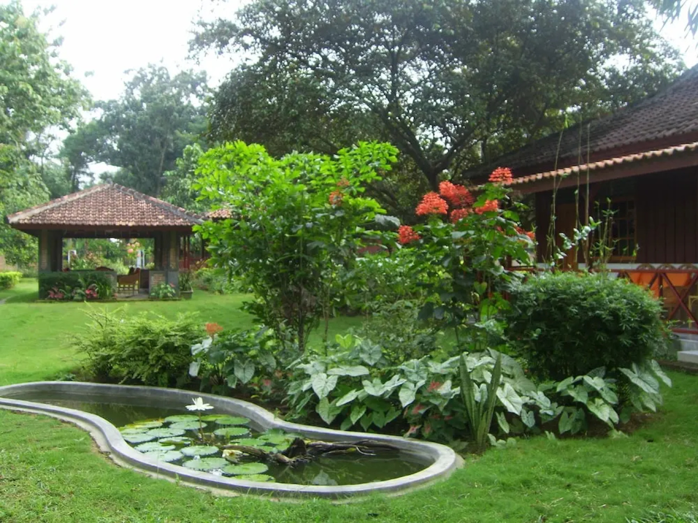 The Satwa Elephant Ecolodge