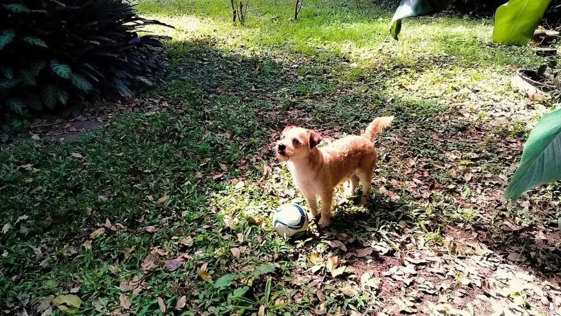 Terrazas Del Coya - Hostel