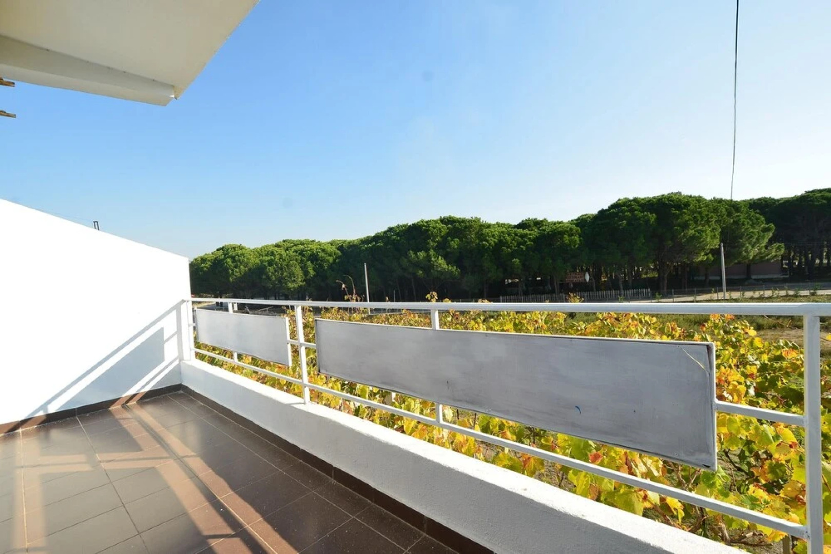 Apartment With one Bedroom in Velipojë, With Furnished Balcony and Wifi