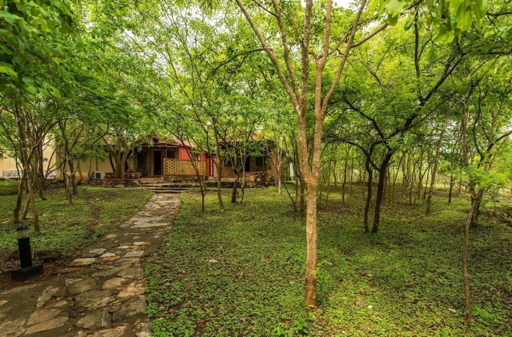 The Windflower Jungle Resorts and Spa