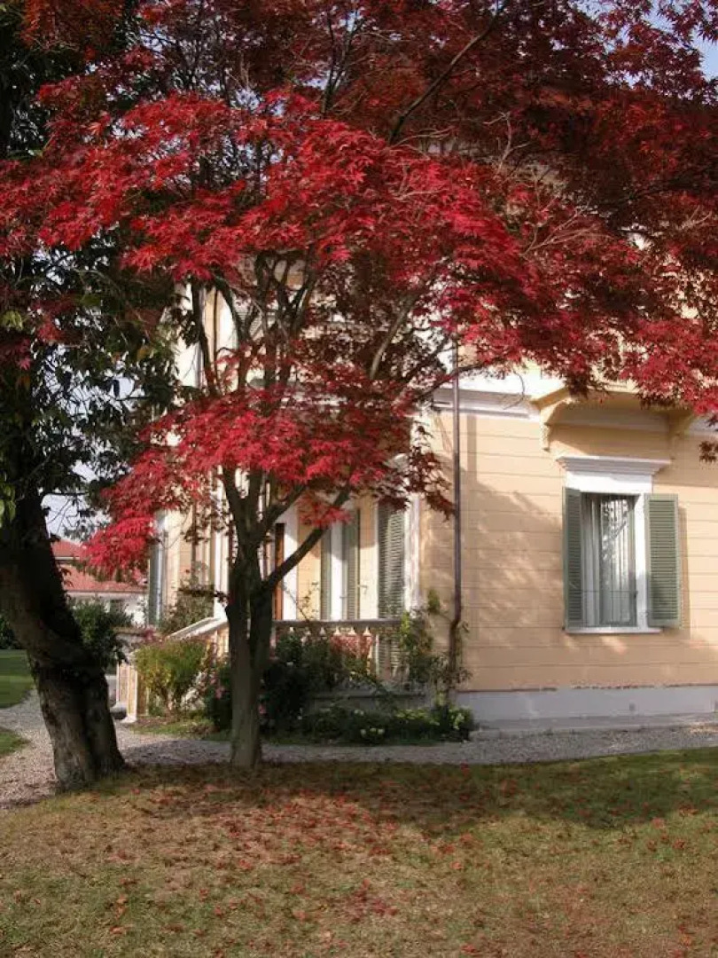 Villa D'Azeglio