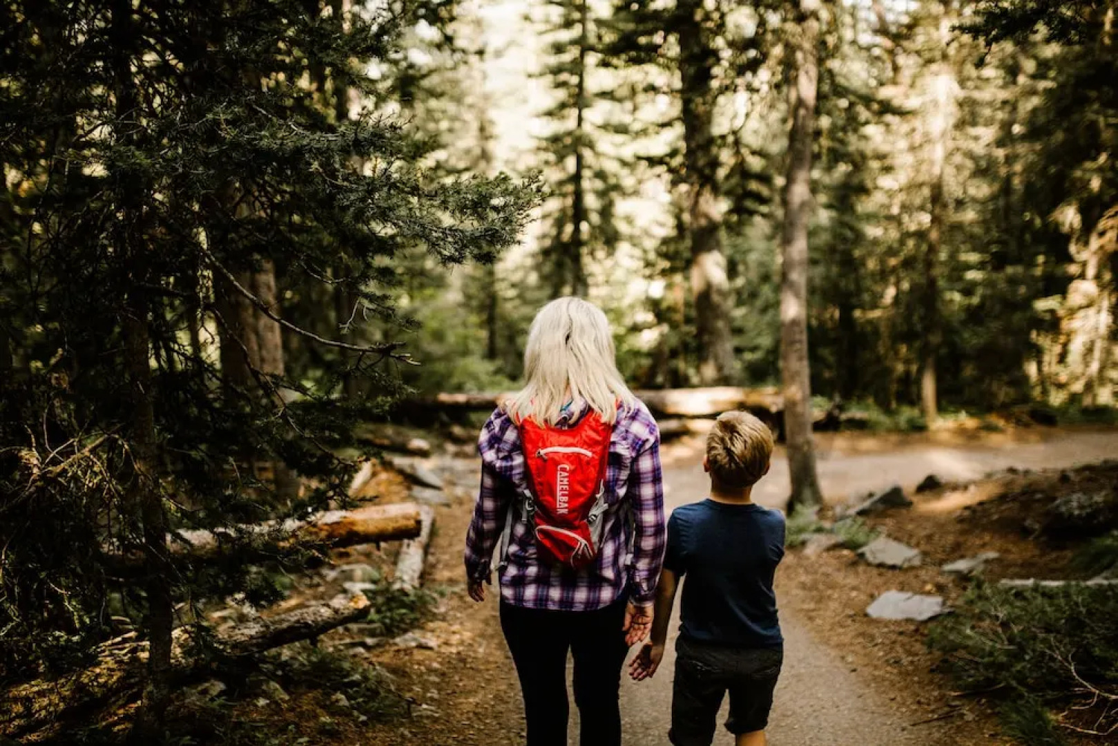 Residence Inn Bozeman Downtown