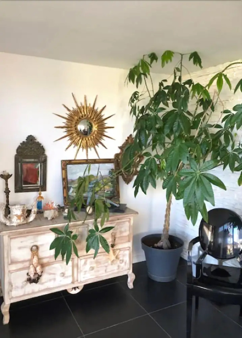 Villa Les Pieds dans l'Eau