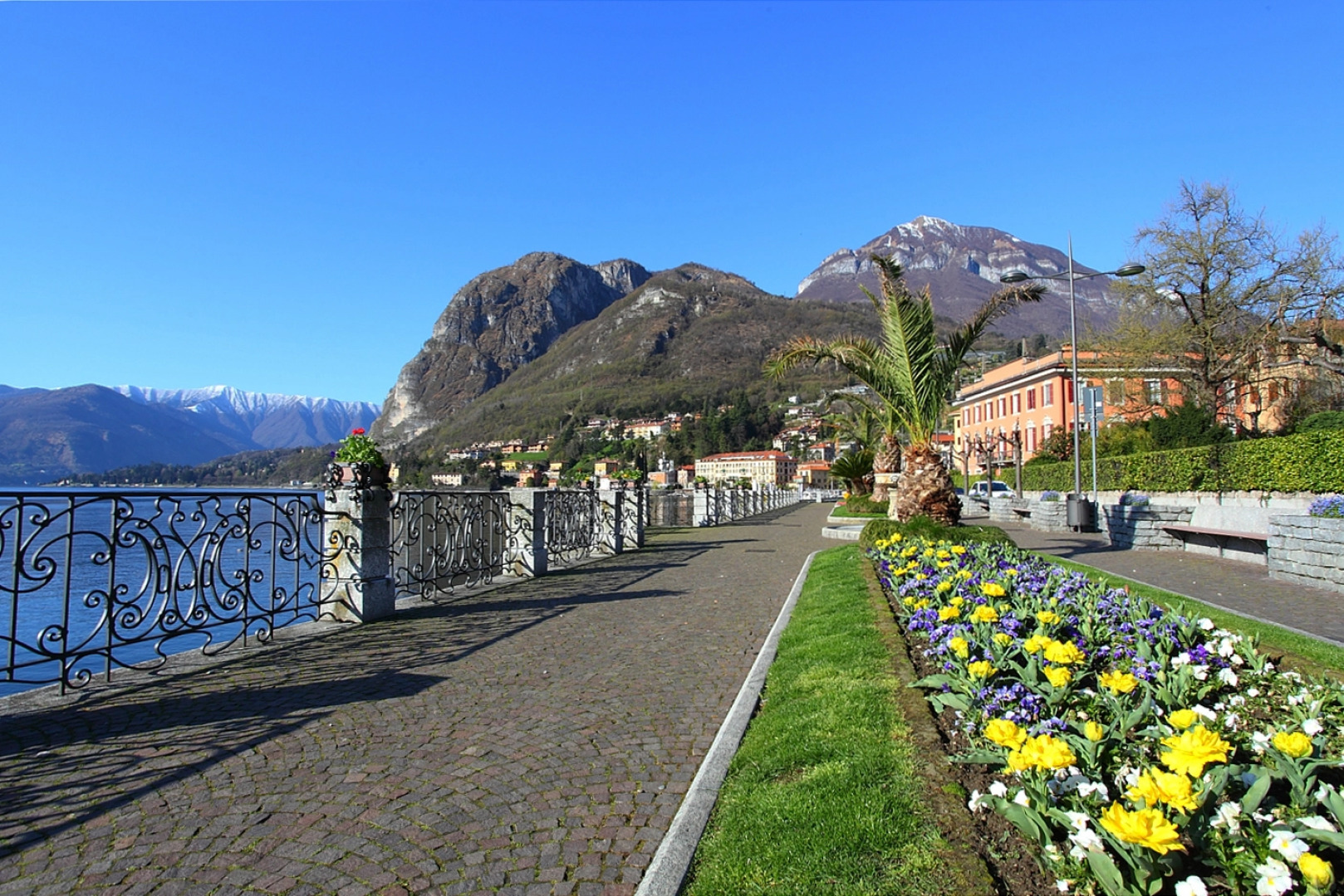 Rustico Logo Bellavista