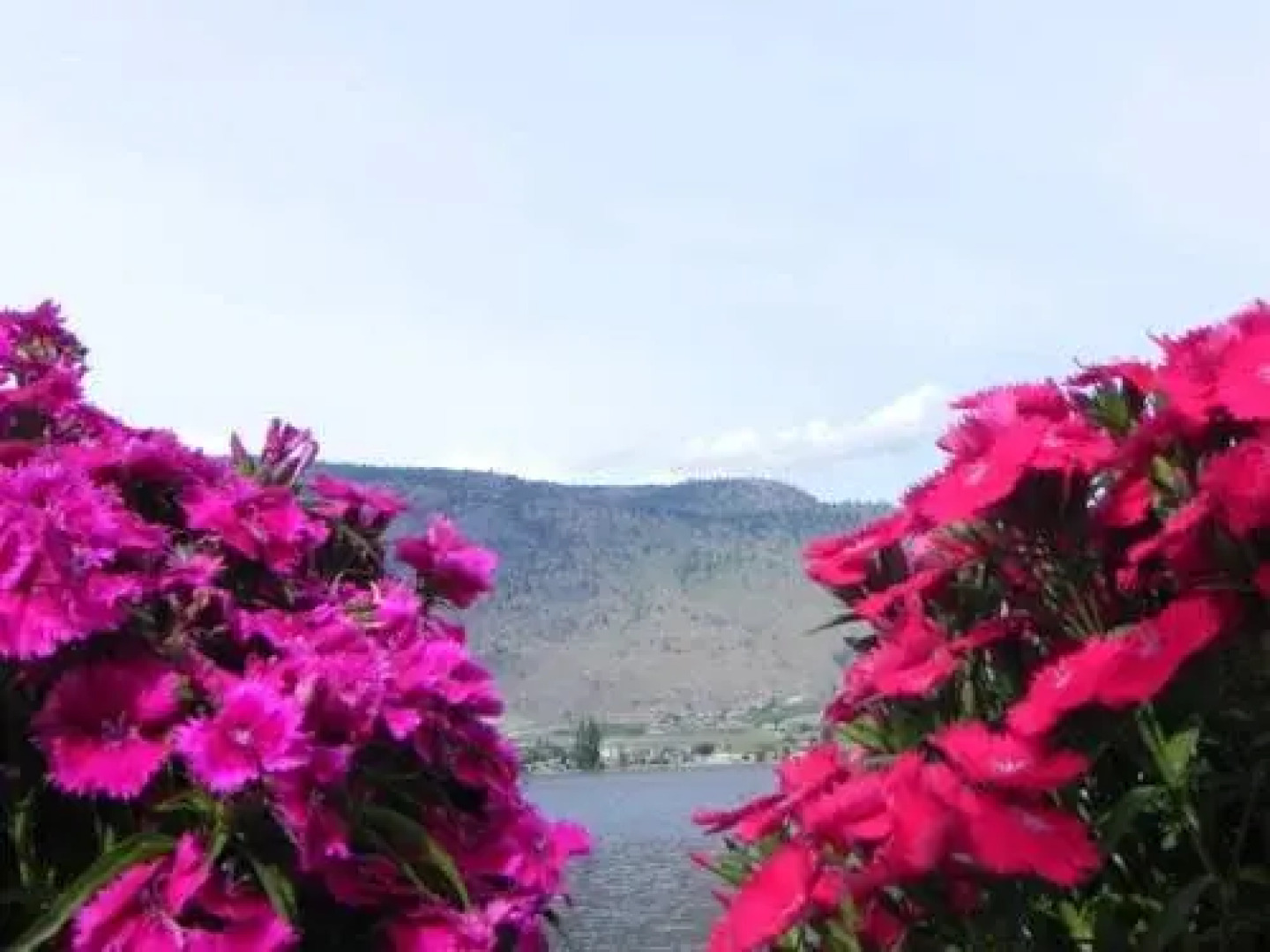 Destiny Beach Resort