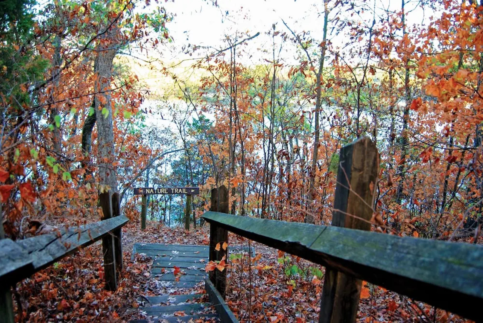 Rough River Dam State Resort Park