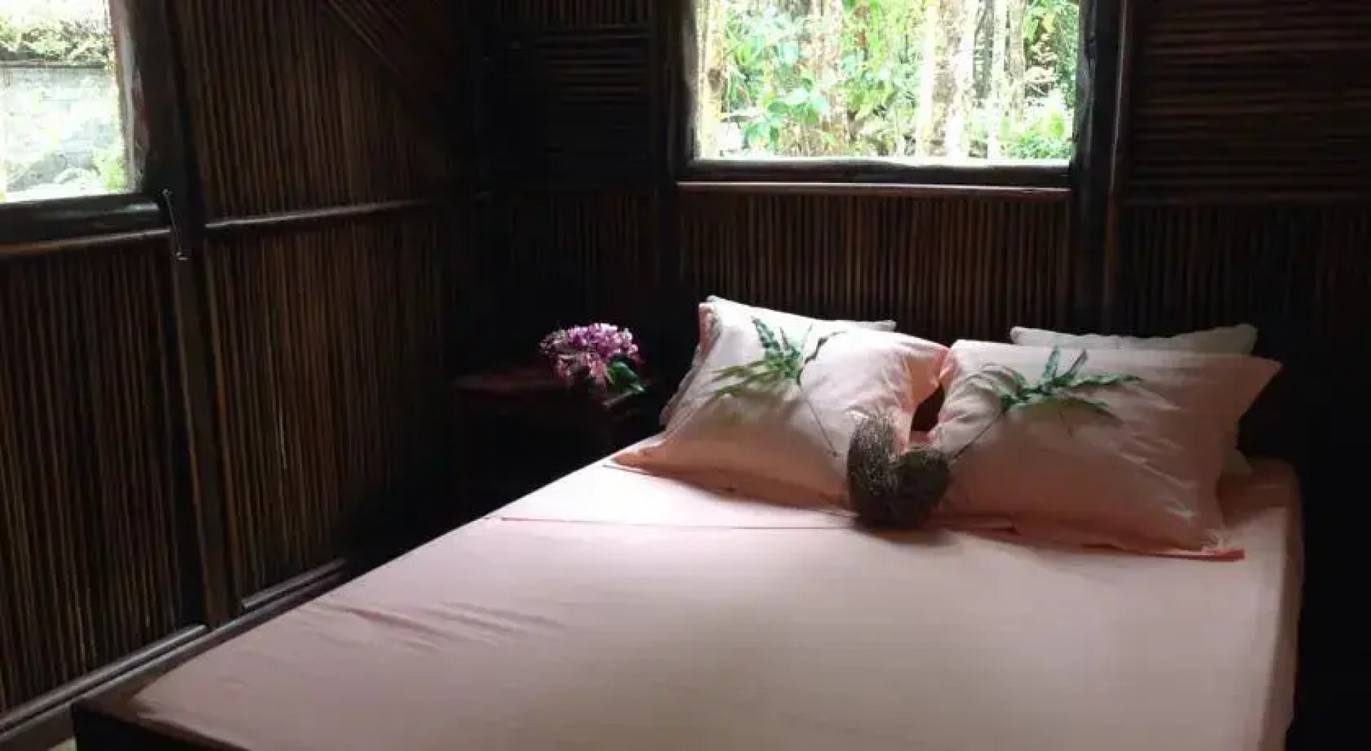 Hotel Pangalanes Jungle Nofy