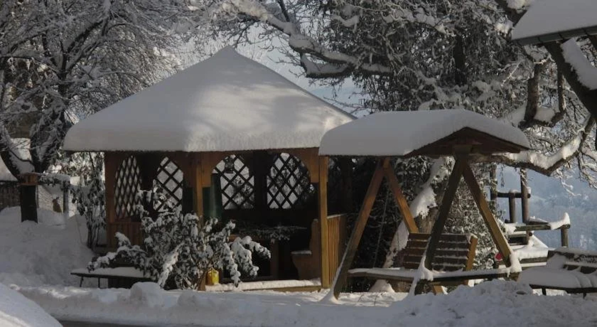 Wiesenbauer - Schlögl Anton