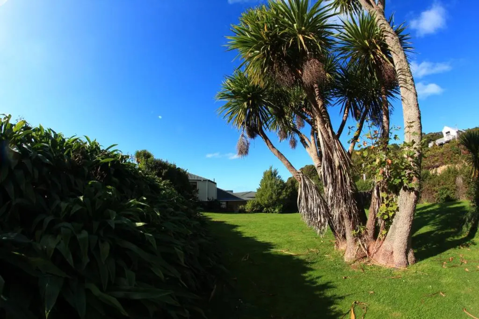 Stewart Island Backpackers