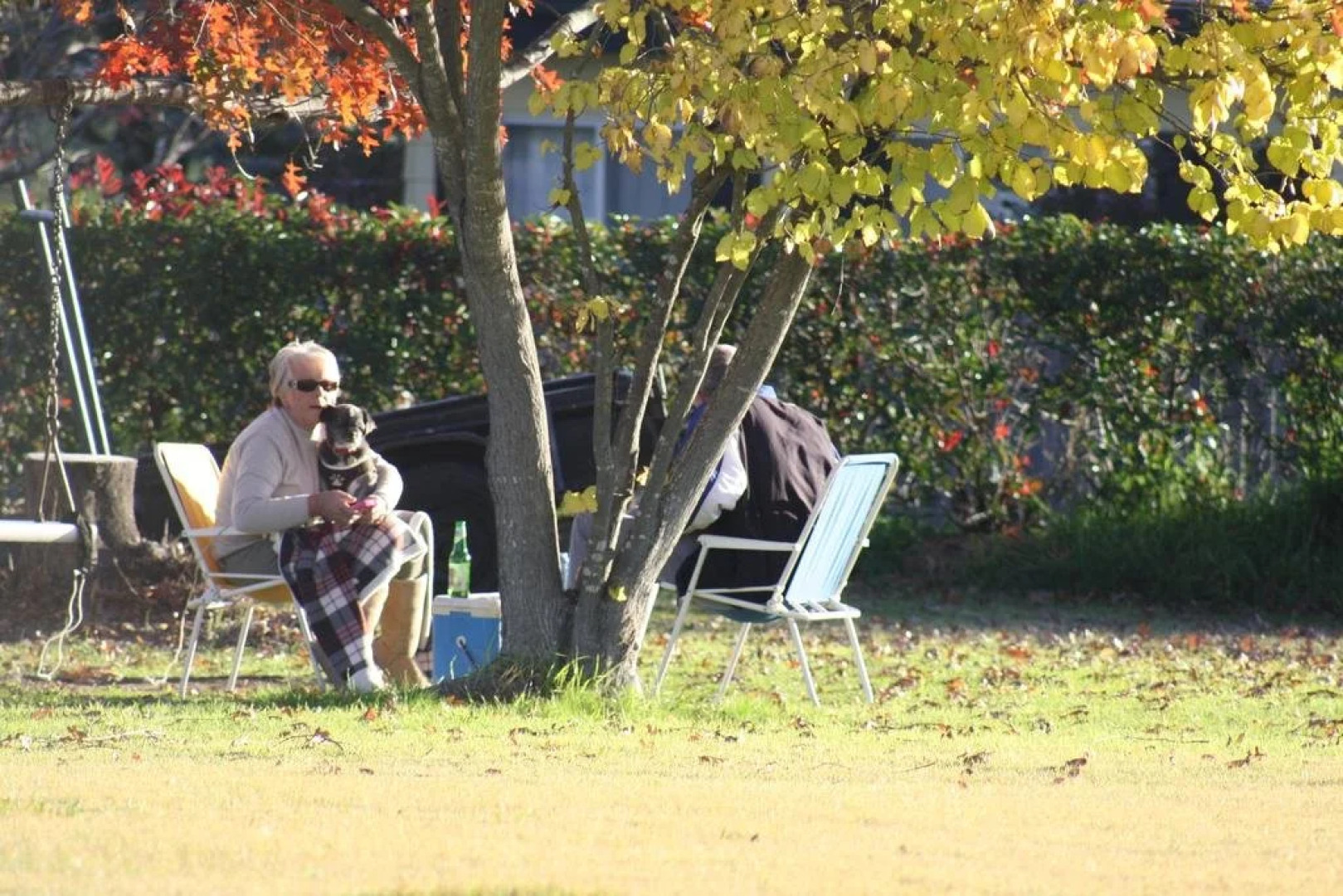 Tenterfield Motor Inn