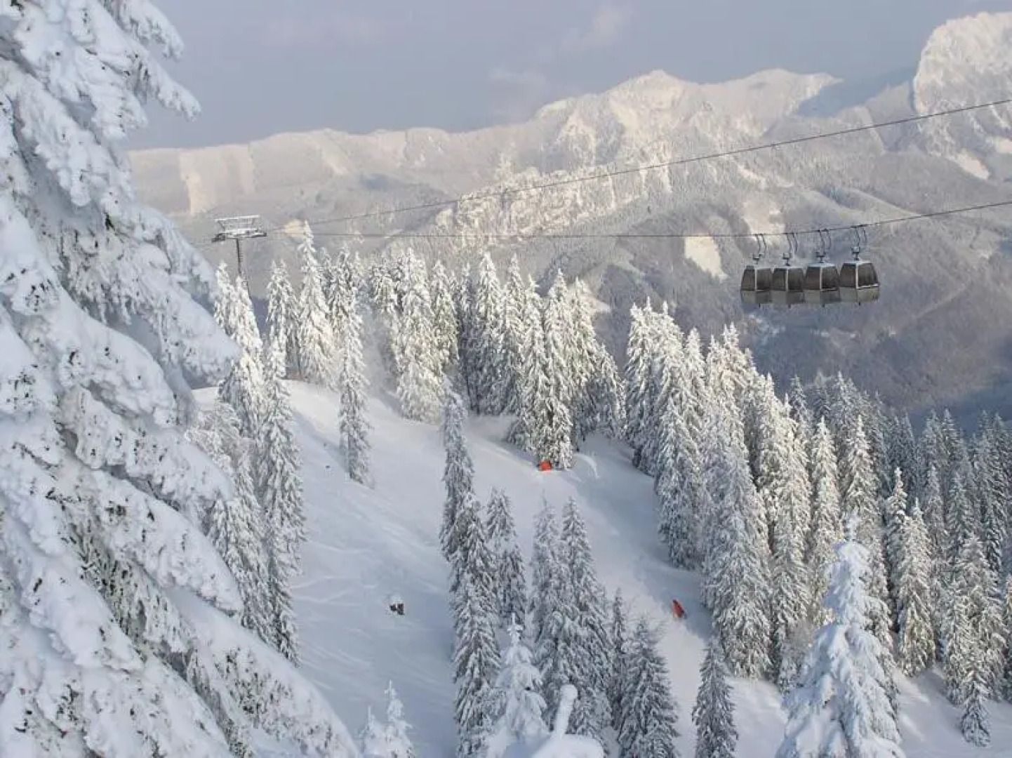 Hotel Pension Birkenhof