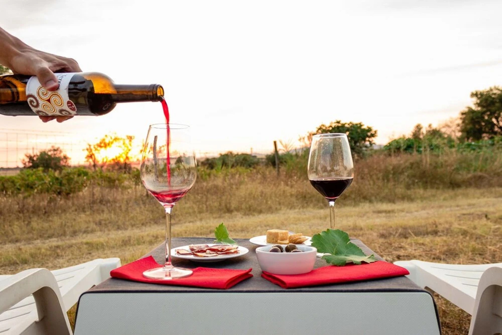 Monte do Colmeal - Country House & Wine