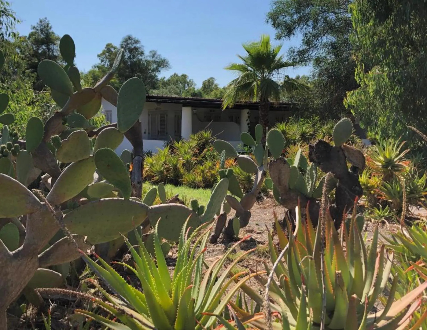 Jera Holiday Collection Vulcano