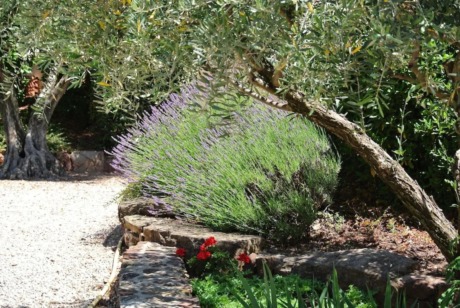 The Gîte Moulin au Viala du Bosc 34700