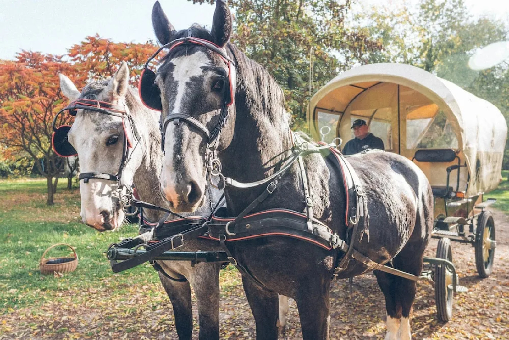 The Palace at Osowa Sien